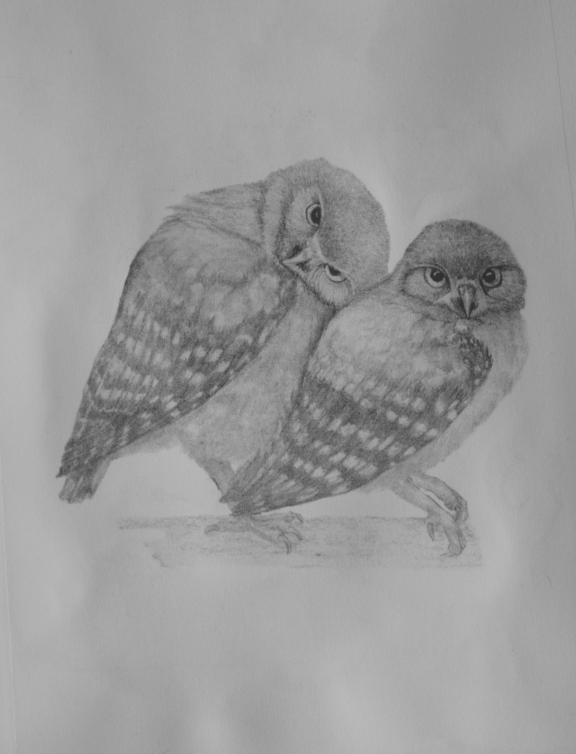 owl madonna